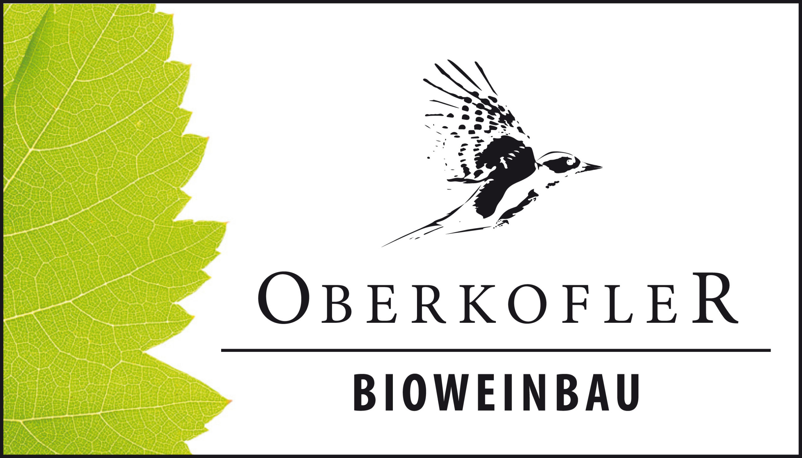 Inserat 70x40 Oberkofler