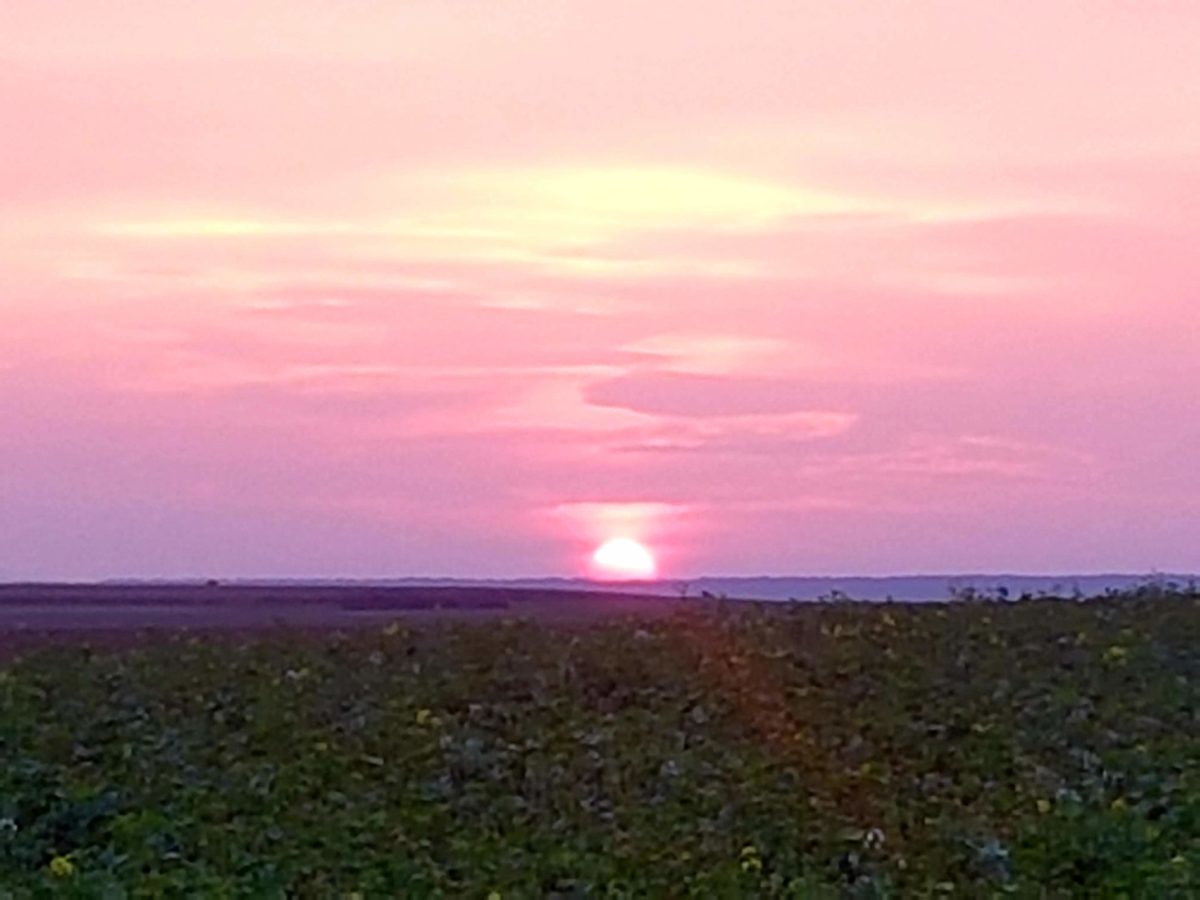 20191014_181133
