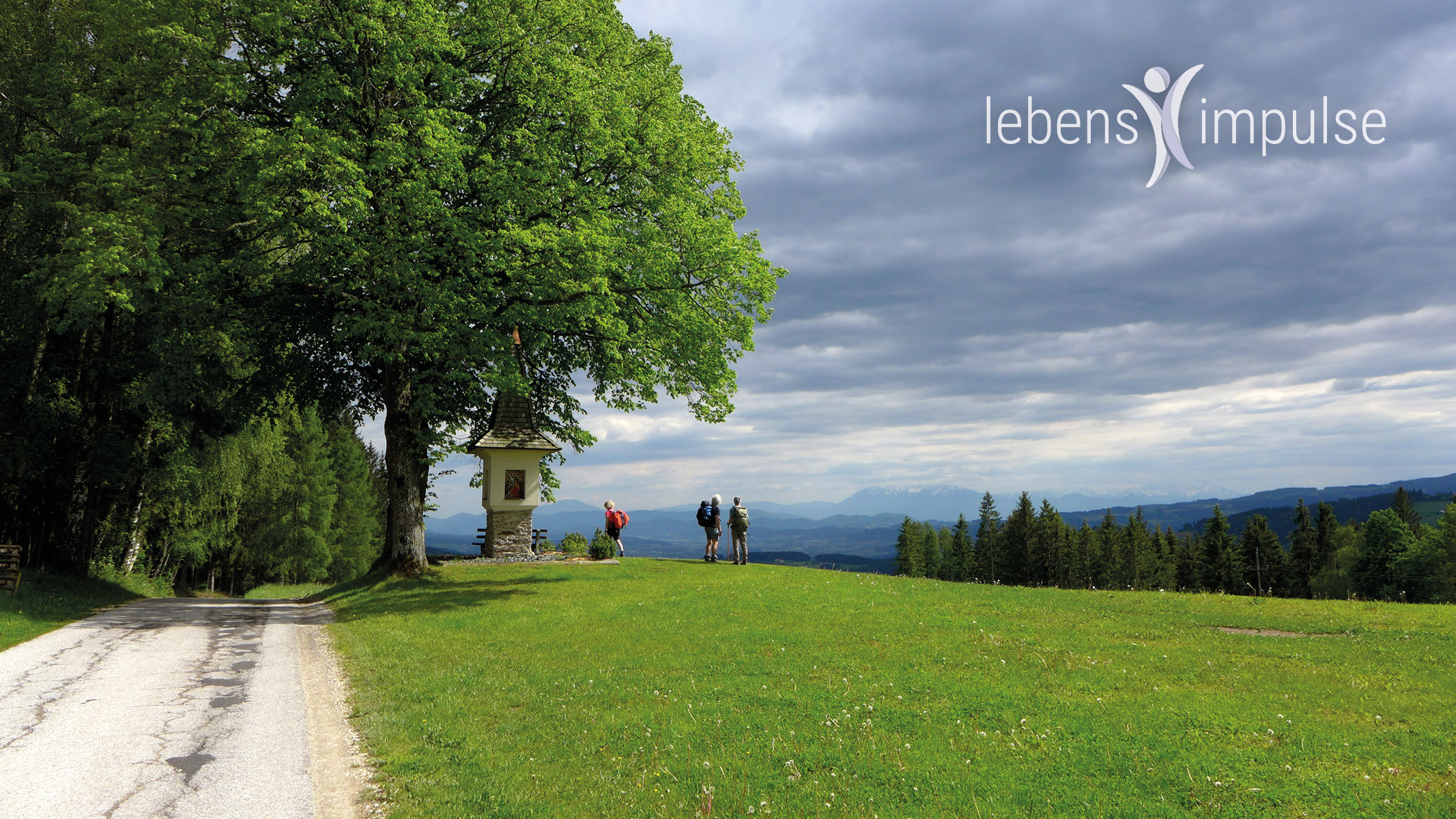 ZOOM-Hintergrund-Fegerl-20204