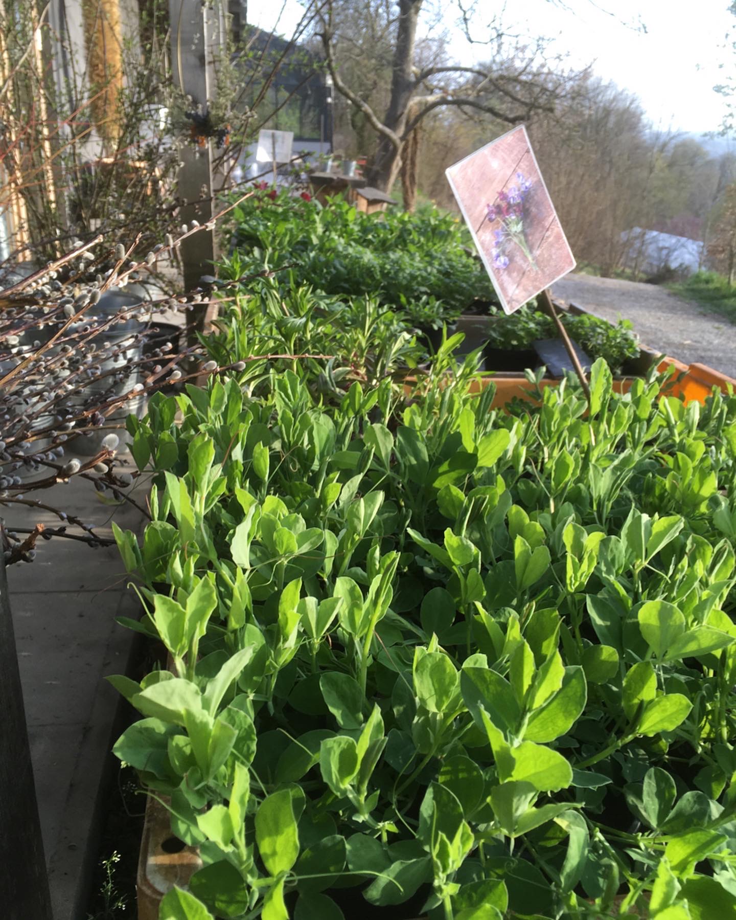 5C0B34F3-DC36-46C2-9E40-00C11B84894A