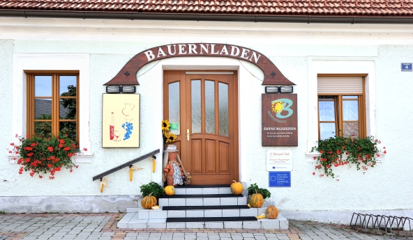 Hereinspaziert