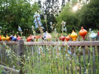 Bannerfotos Rosenkugeln (5)