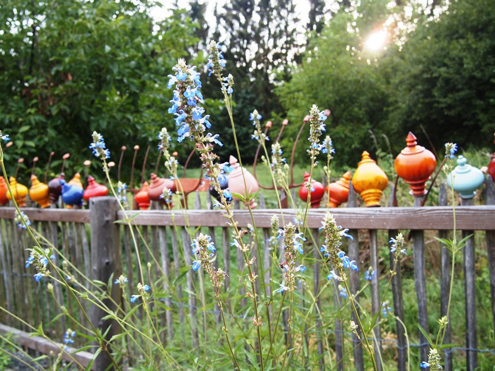 Bannerfotos Rosenkugeln (5)