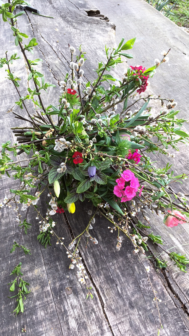 6E58C9A4-21C2-49D0-9360-C05ECF0CEAC8