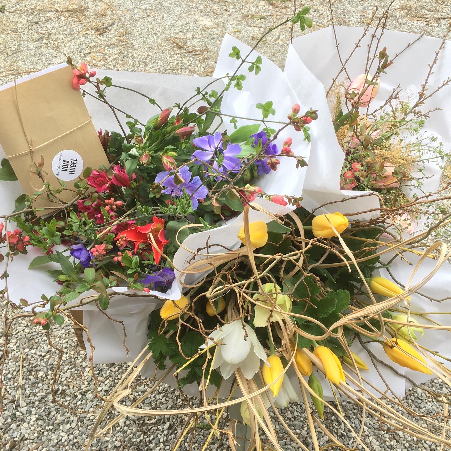 93C0091D-2AA2-4E97-A5B2-545CE8380D21