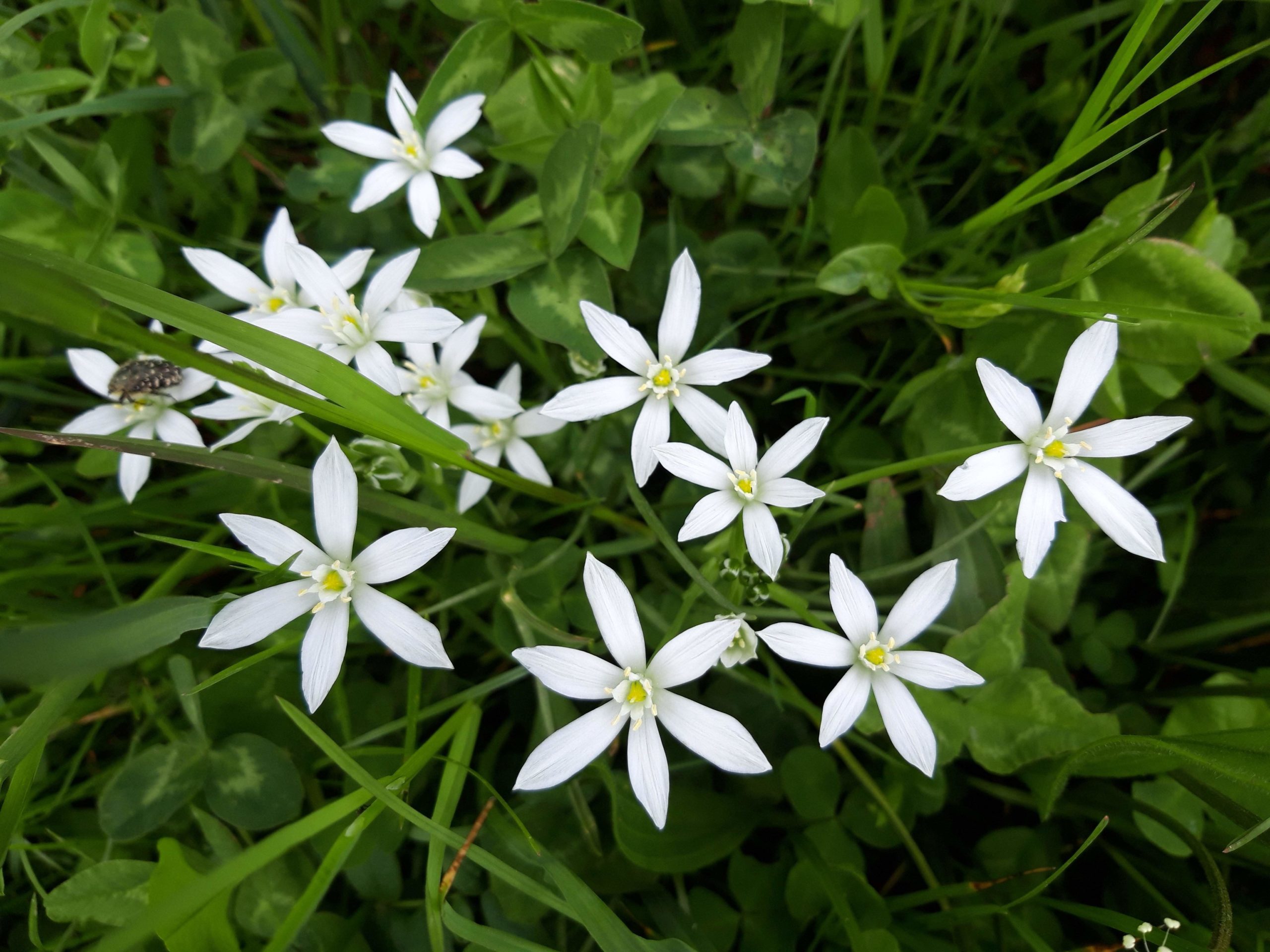 20190511_123804-001
