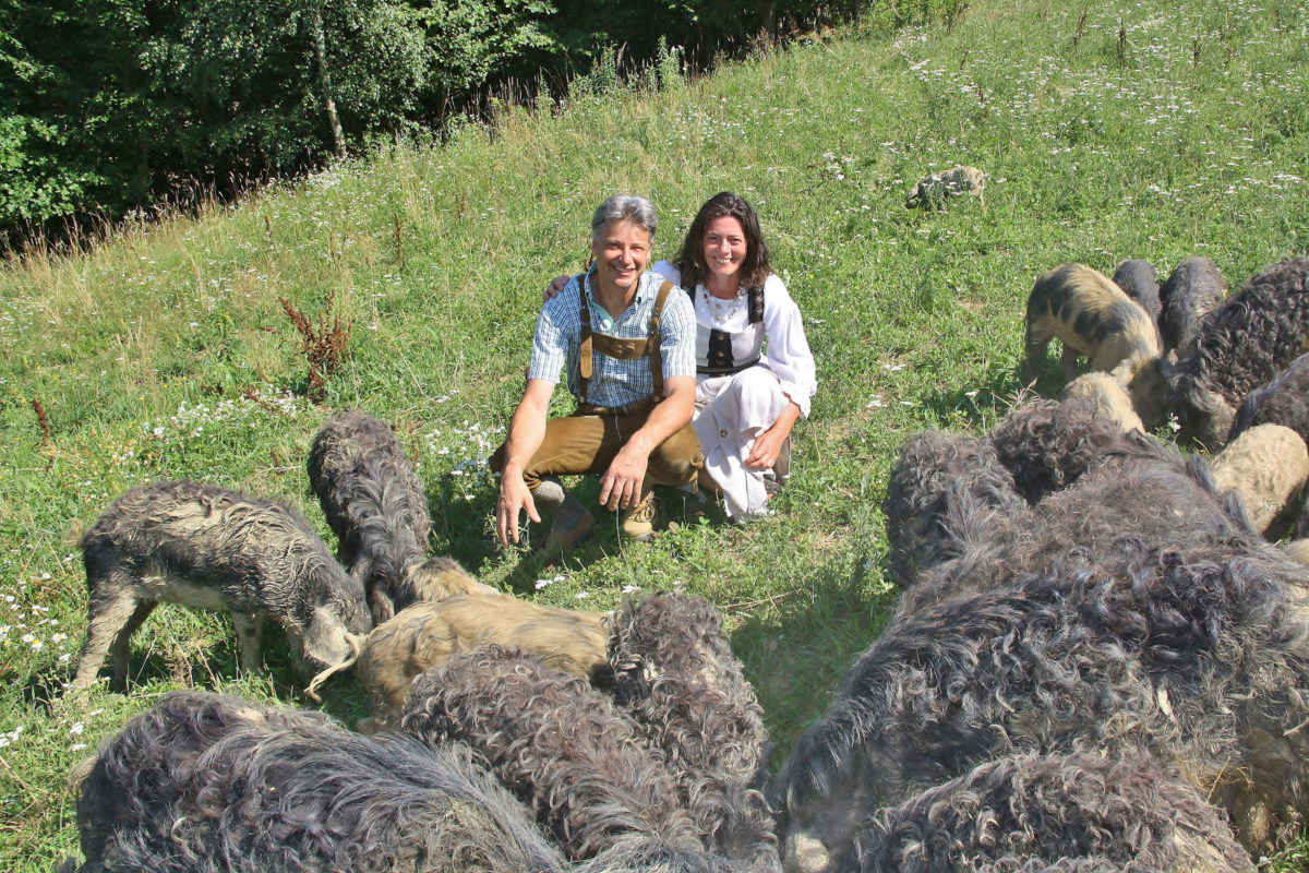20170708_Qu_Biohof_Taunus