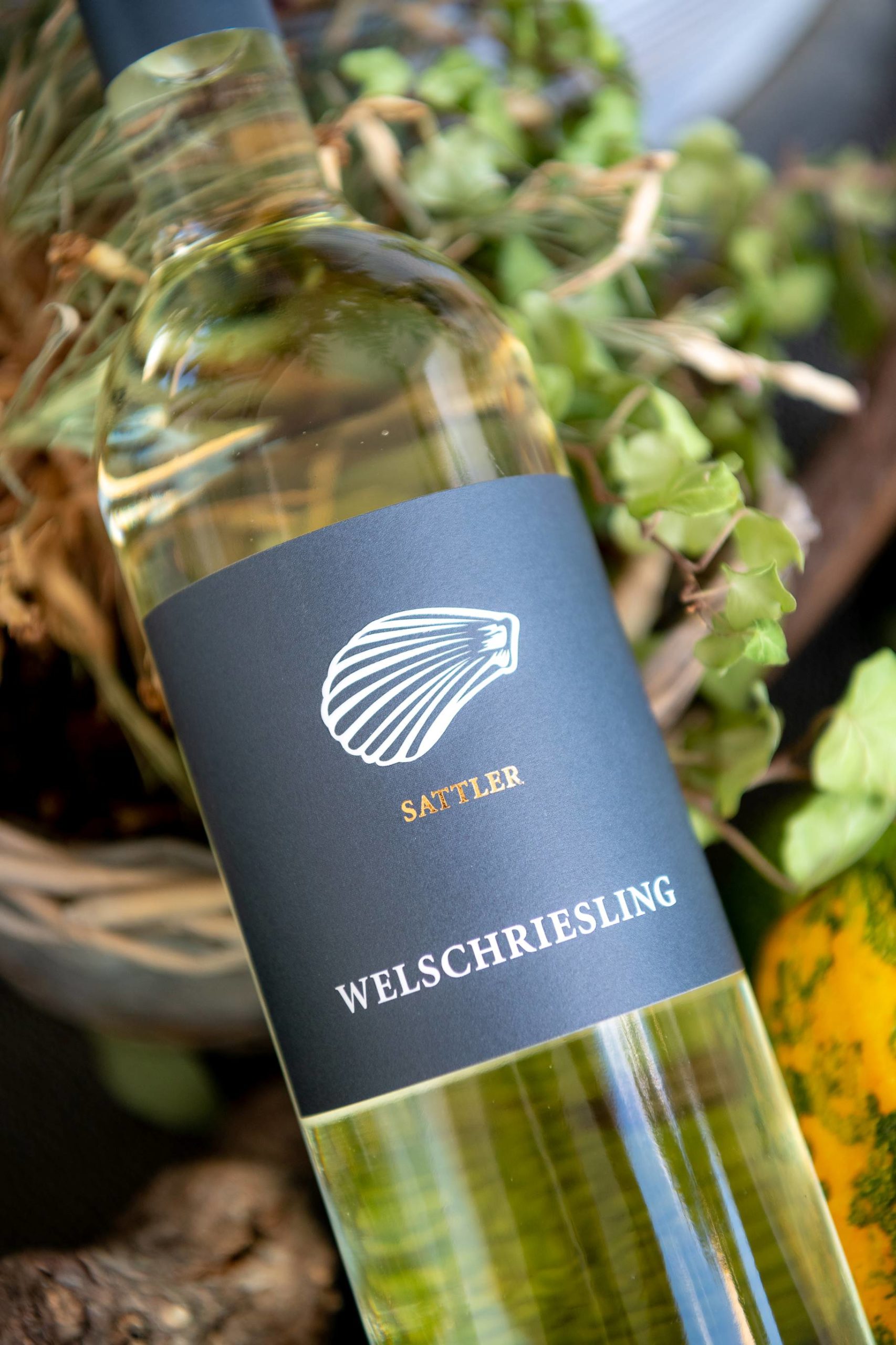 Gut Leithaberg - Welschriesling
