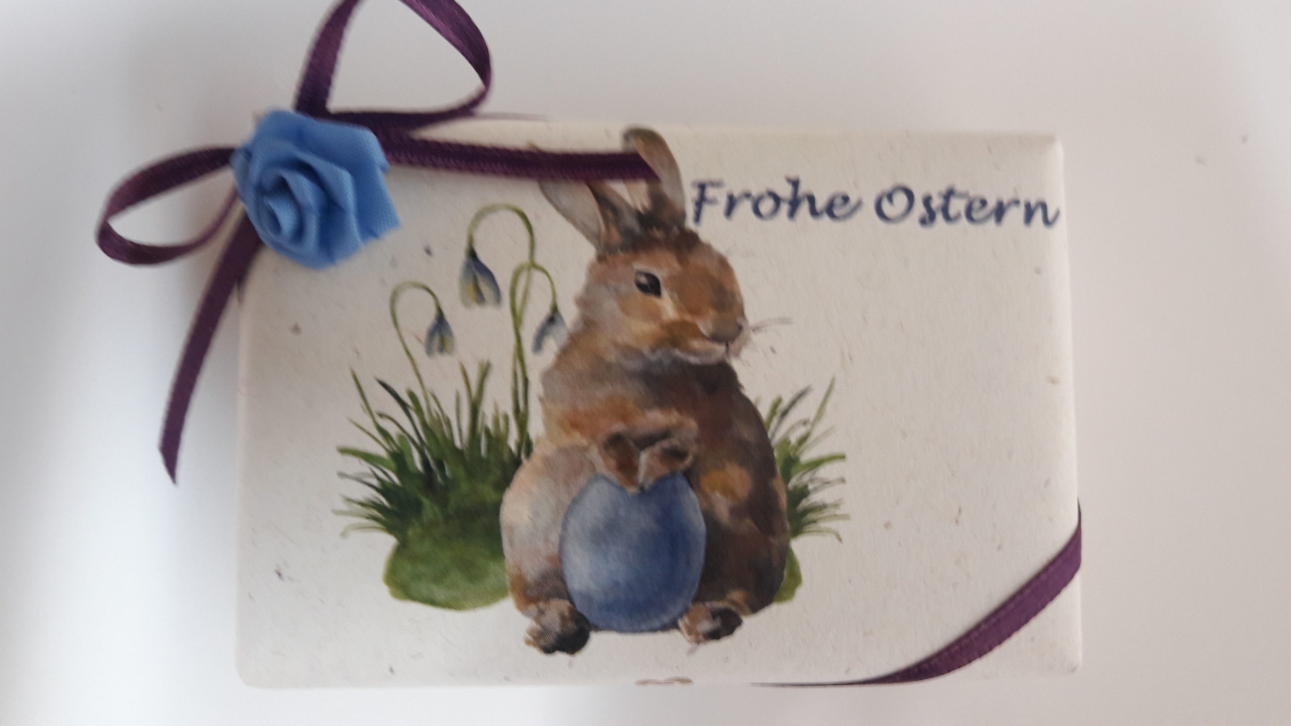 Osterhase 1