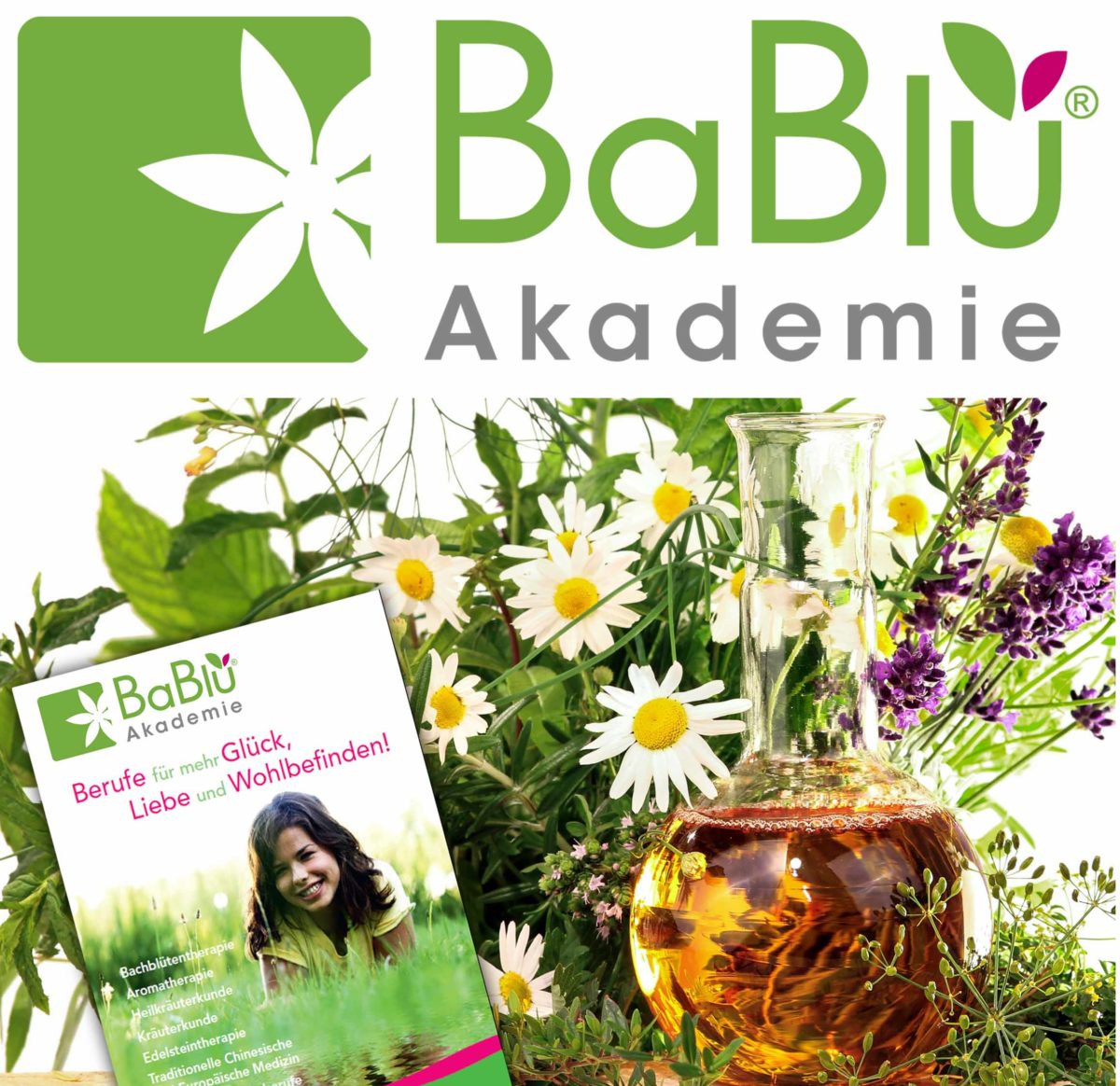 Foto BaBlü Übersicht 2