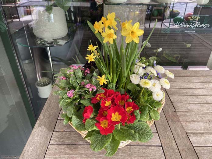 Springfeeling