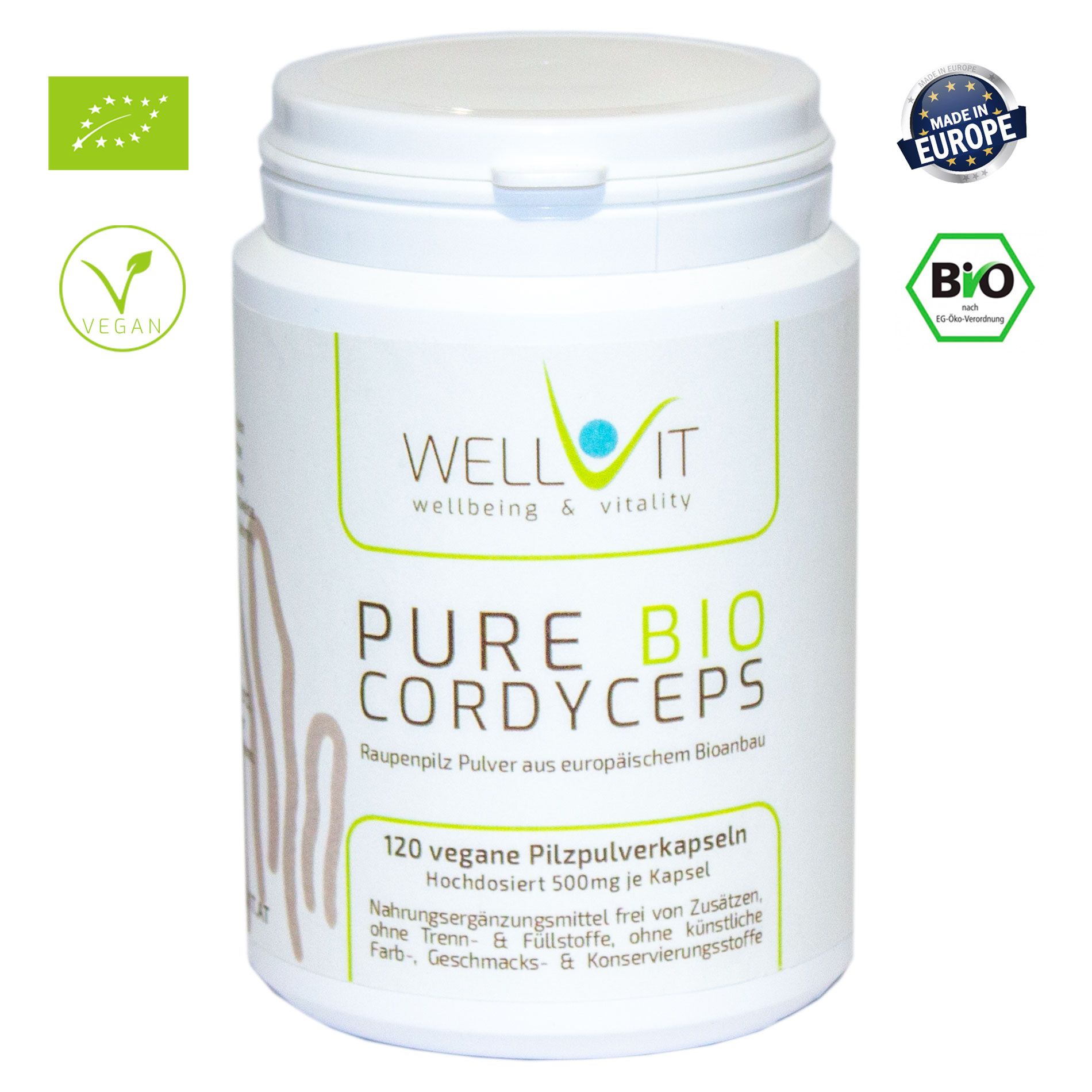 Raupenpilz Cordyceps