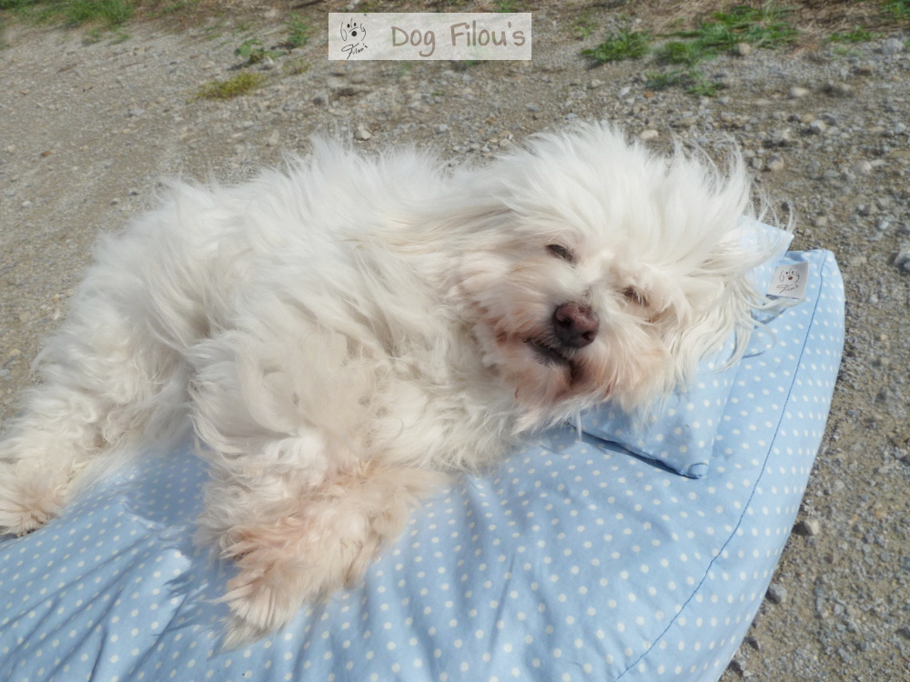 Bio Hundebett aus Naturmaterial Dog Filous