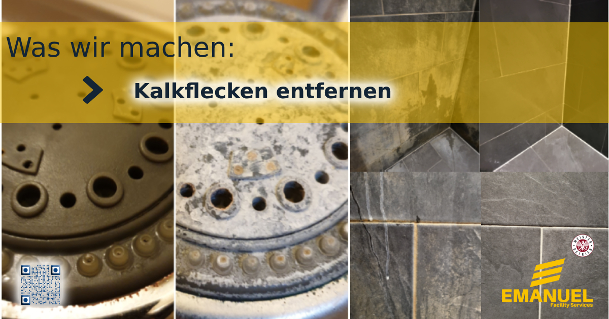Proiect nou (10)
